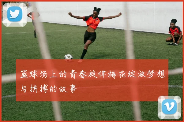 篮球场上的青春旋律梅花绽放梦想与拼搏的故事