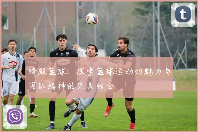 琦殿篮球：探索篮球运动的魅力与团队精神的完美结合