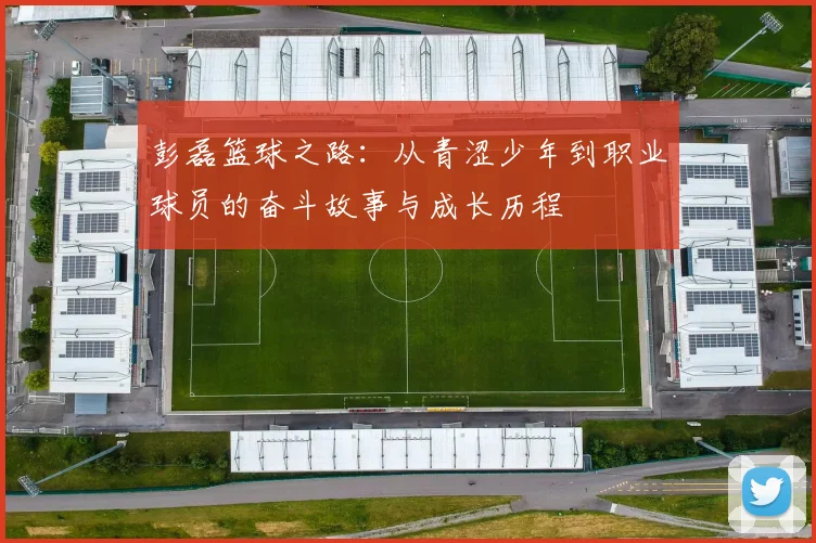 彭磊篮球之路：从青涩少年到职业球员的奋斗故事与成长历程