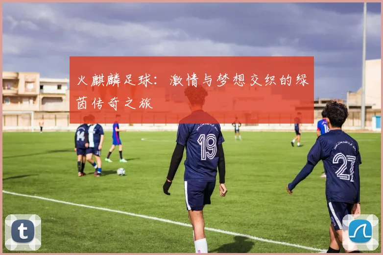 火麒麟足球：激情与梦想交织的绿茵传奇之旅