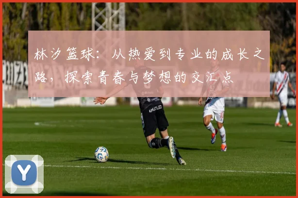 林汐篮球：从热爱到专业的成长之路，探索青春与梦想的交汇点
