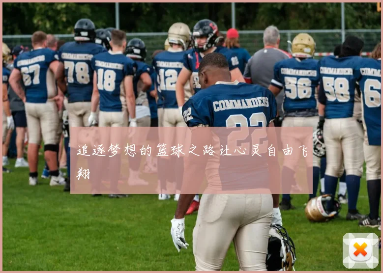 追逐梦想的篮球之路让心灵自由飞翔