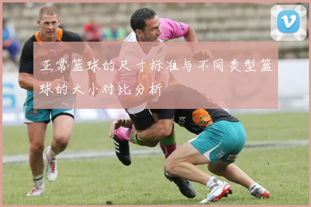 正常篮球的尺寸标准与不同类型篮球的大小对比分析